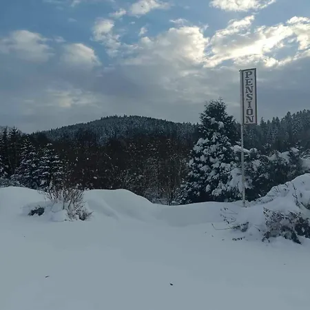 Ve Mlyne Guest house 3*