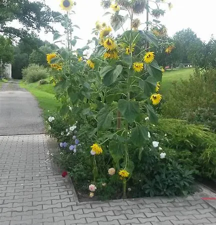 Ve Mlyne Guest house 3*