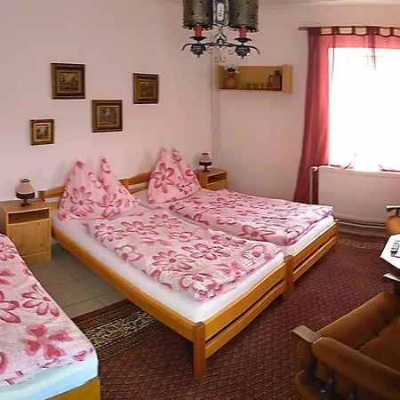 Ve Mlyne Guest house 3*