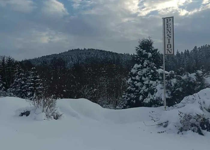 Ve Mlyne Gasthuis 3*